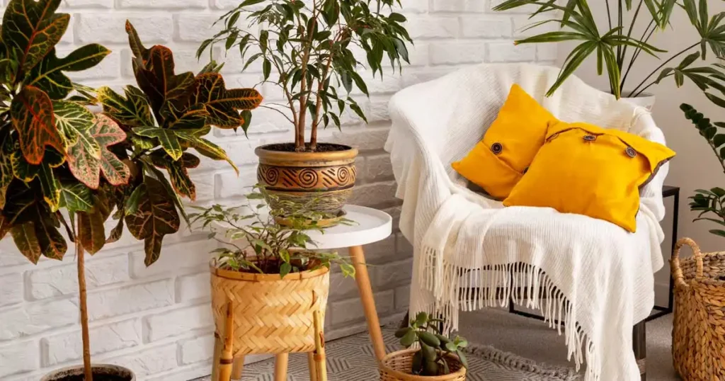 The Importance of Eco Friendly Home Decor Products