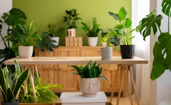 The Importance of Eco Friendly Home Decor Products